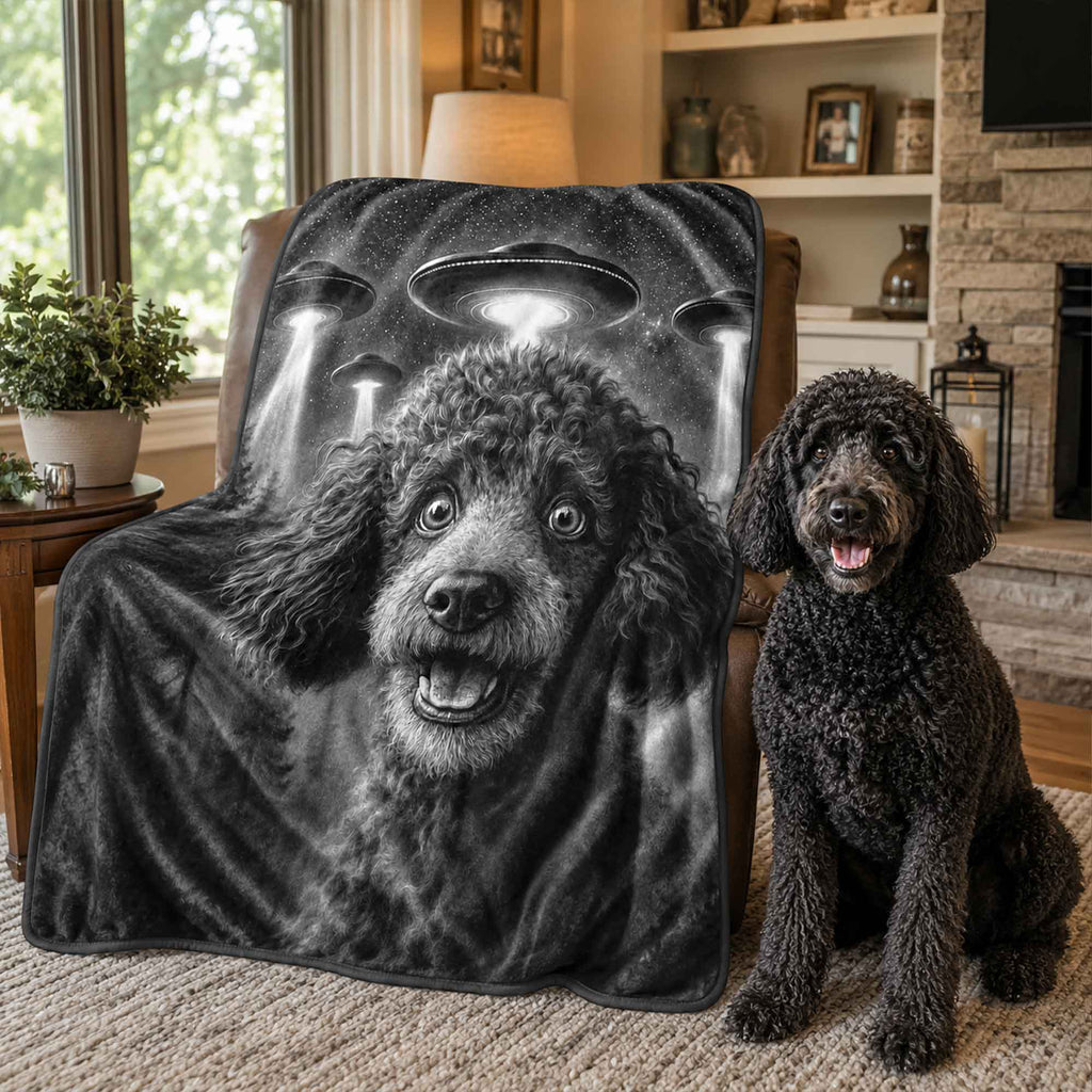 UFO Pet Blanket